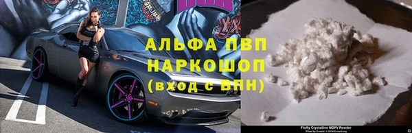 метадон Богданович