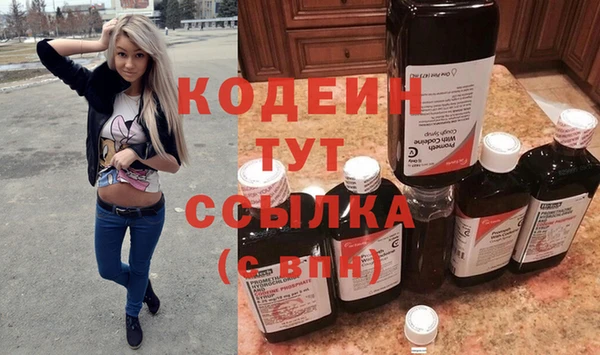 метадон Богданович