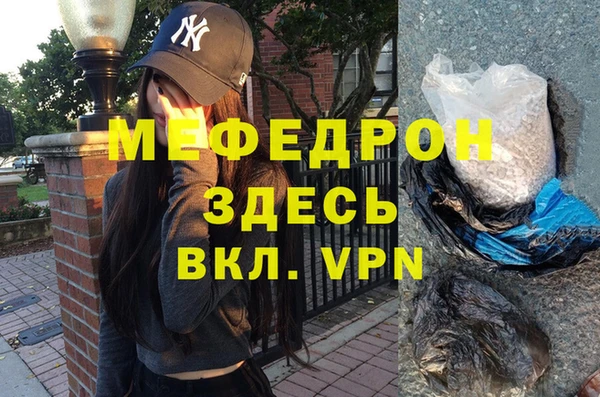 spice Богородицк