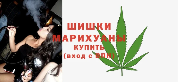 spice Богородицк