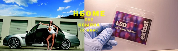 spice Богородицк
