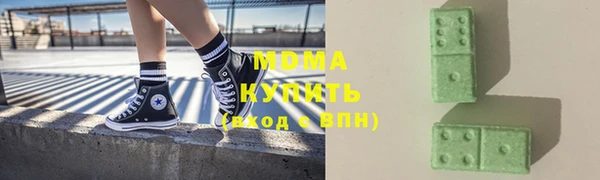 spice Богородицк