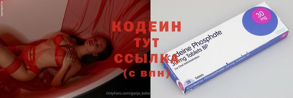 метадон Богданович