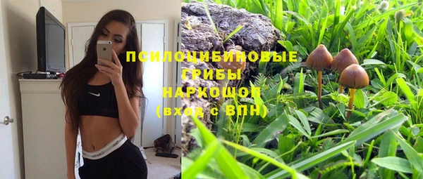метадон Богданович