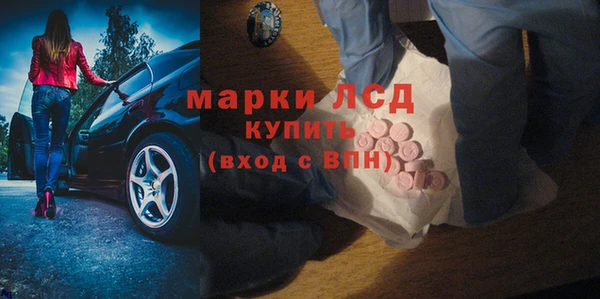 spice Богородицк