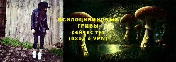 метадон Богданович