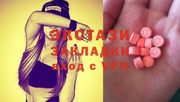 spice Богородицк