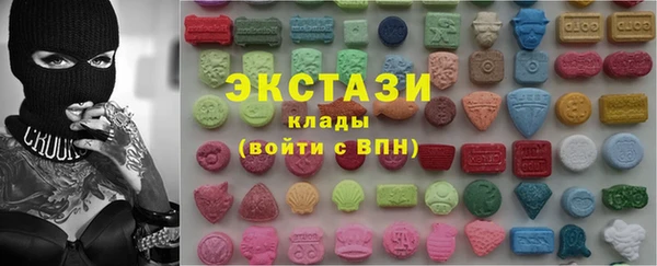 spice Богородицк