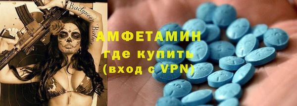 spice Богородицк